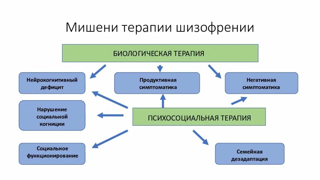 Основные мишени терапии при эндогенных психических расстройствах. Терапия шизофрении. Биологическая терапия шизофрении. Методы терапии при шизофрении. Когнитивный шизофрения