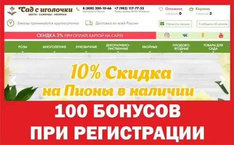 Сад с иголочки