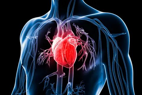 Ад губителен для сердца (Отэлло Отвергнутый) / Стихи.ру