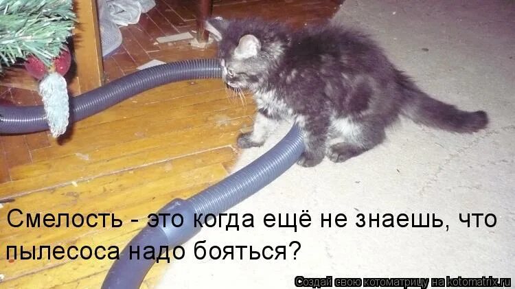 Как правильно говорить пылесосю