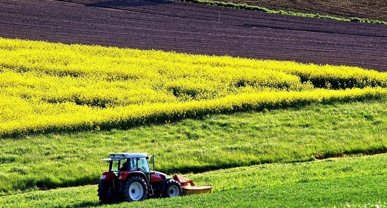 Сх угодья. Использование почв в хозяйстве. Аграрный ландшафт (агроландшафт). Использование почв в хозяйстве. Плодородные почвы великобритании.