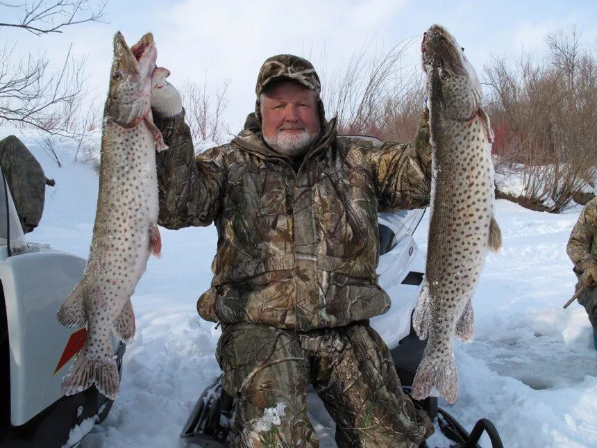 Таймень бахта. Рыбалка в тайге. Рыбалка в тайге. Рыбалка на реках сибири. Охота и рыбалка.
