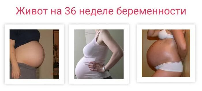 Живот на 36 неделе. Животик на 36 неделе беременности. Болит живот на 36 неделе беременности. Тянет поясницу на 38 неделе