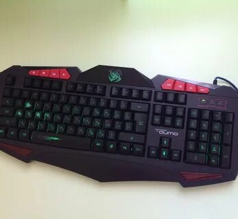 Qumo dragon