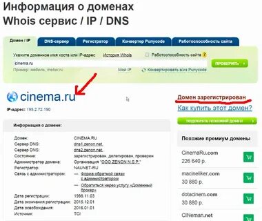 Как узнать владельца домена