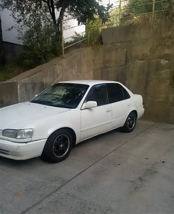 Toyota sedan 1998. Тойота королла 1999. Тойота королла 110 1998г. Тойота королла ае 110 1998. Тайота карола 1998.