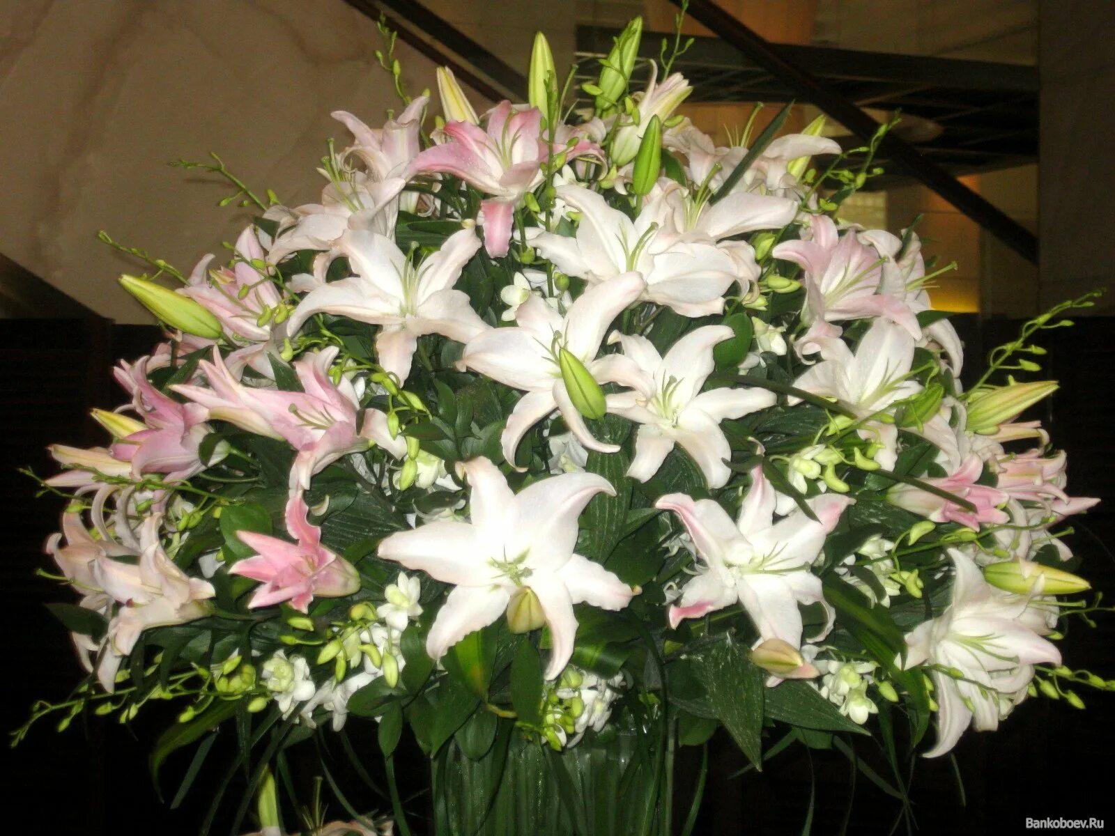 Красивый букет лилий. Огромный букет белых лилий. лилии букет шикарный огромный. самый большой букет лилий. огромный красивый букет лилий.