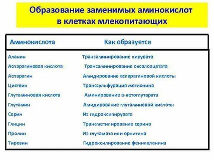 Заменимыми аминокислотами являются