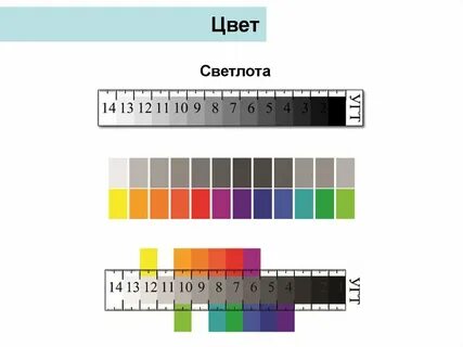Scale color