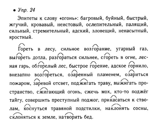 Русский язык 6 класс задания. Родной русский язык 6 класс упражнение 10. Русский язык 6 класс Львова русский язык. Русский язык 6 класс упражнение 24. Русский язык 6 класс упражнение 584