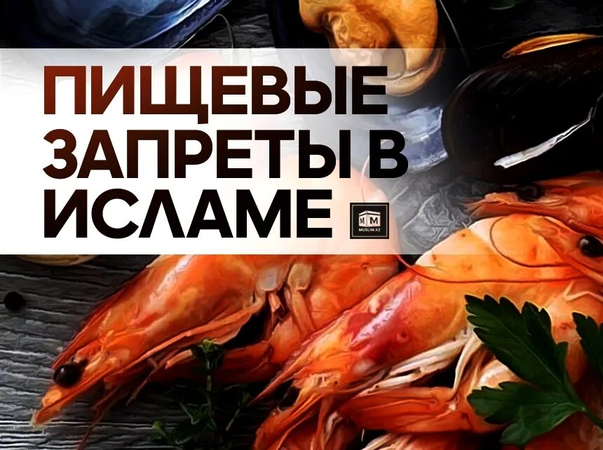 Основные правила ислама. Предписания и запреты ислама. Законы ислама. Основные законы ислама. Запрещенные прически в исламе.