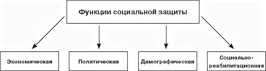 4 экономическая функция социального обеспечения. Функции социальной защиты. Принципы и функции социальной защиты населения. Функции социальной защиты населения схема. Принципы социальной защиты населения схема.