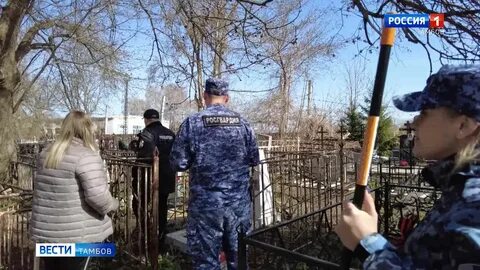 Смотрящий тамбова