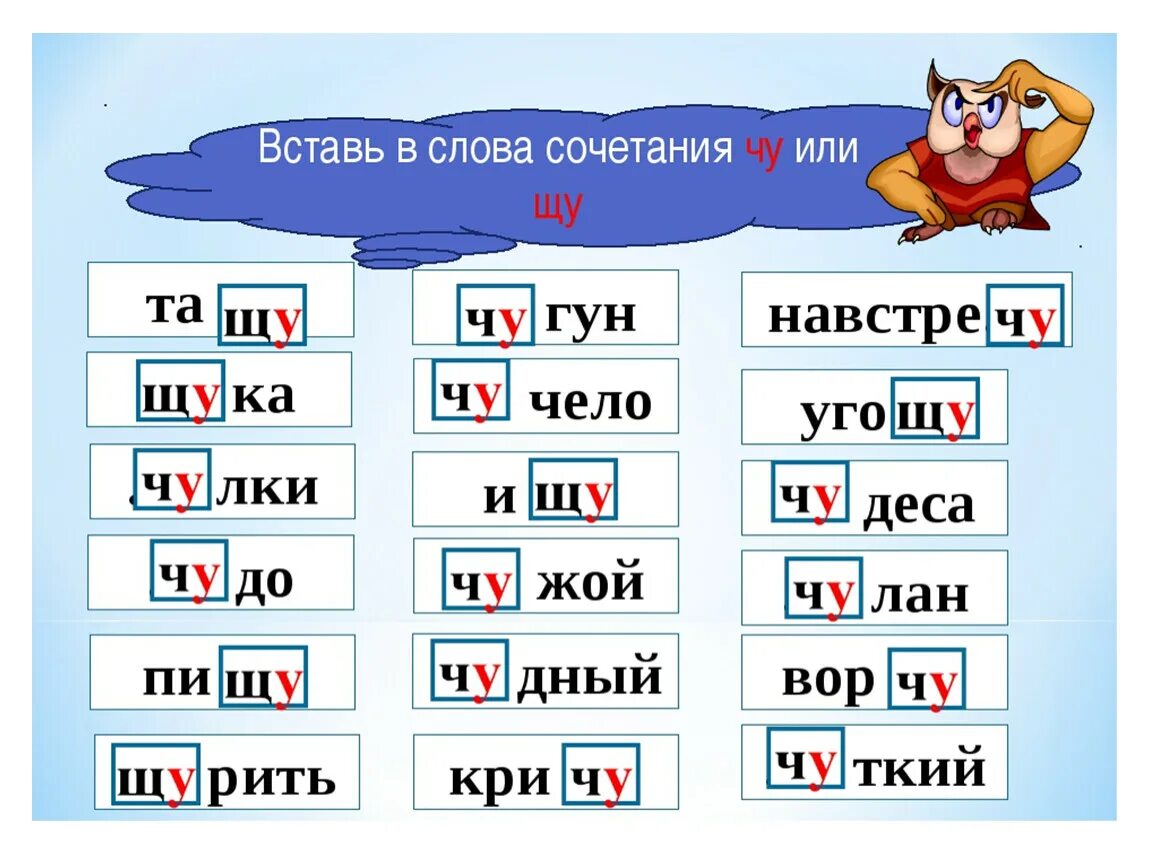 Слова с Чу ЩУ. Слова на ЩУ. Слова на букву Чу ЩУ. Сочетание ща ЩУ. 1 слово на щу