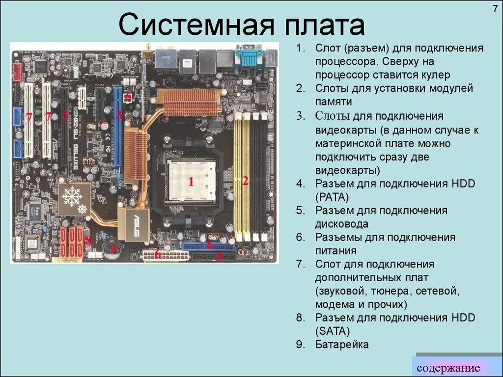 Платы и их основные виды. Основные компоненты материнской платы asus. материнская плата разъемные компоненты материнской платы. материнская плата компоненты схема. опишите основные разъемы материнской платы.