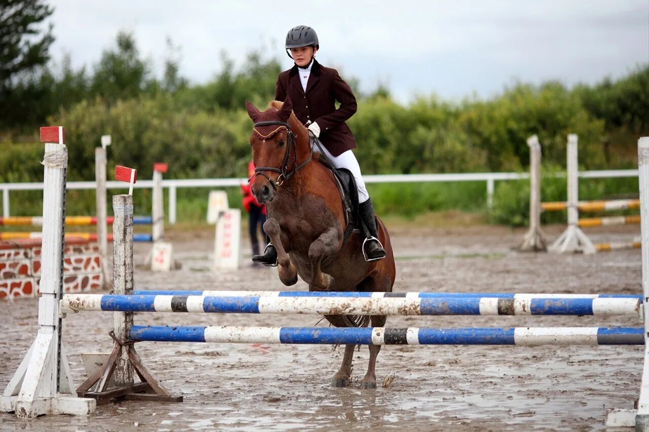 Чемпионат по конному спорту в финляндии 2023. Конный спорт. Спортивные лошади. Чемпионат по конному спорту в финляндии 2023. Чемпионат по конному спорту в финляндии 2023.