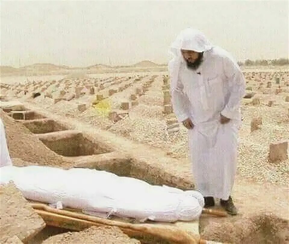 440 грузовик. Man rabbuka. Tgx 18. Грузовик man tgx 2020. Ужасы могил ибн раджаб.