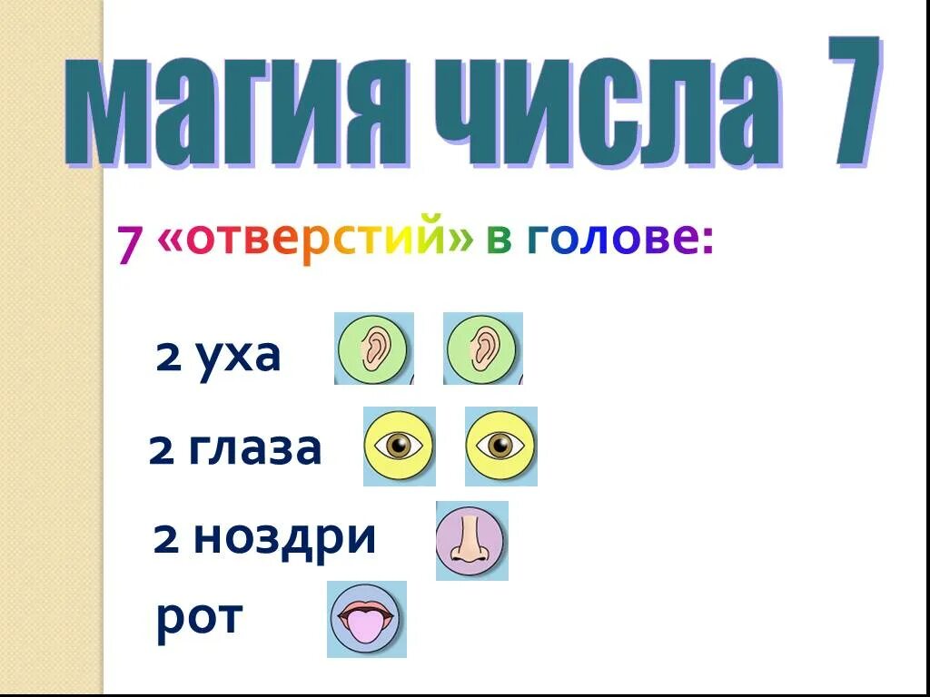 Магическое число 7. Магическая цифра семь. Число 7 в биологии. Магическое число 7 в математике. Вижу число 7