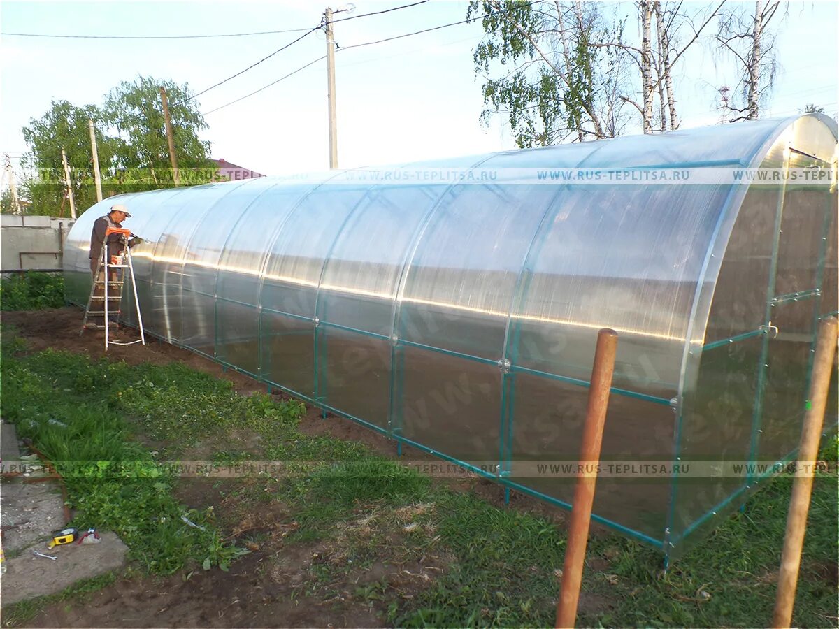 Teplitsa rus. теплица царская ферма. русский teplitsa. Teplitsa rus. Teplitsa rus.