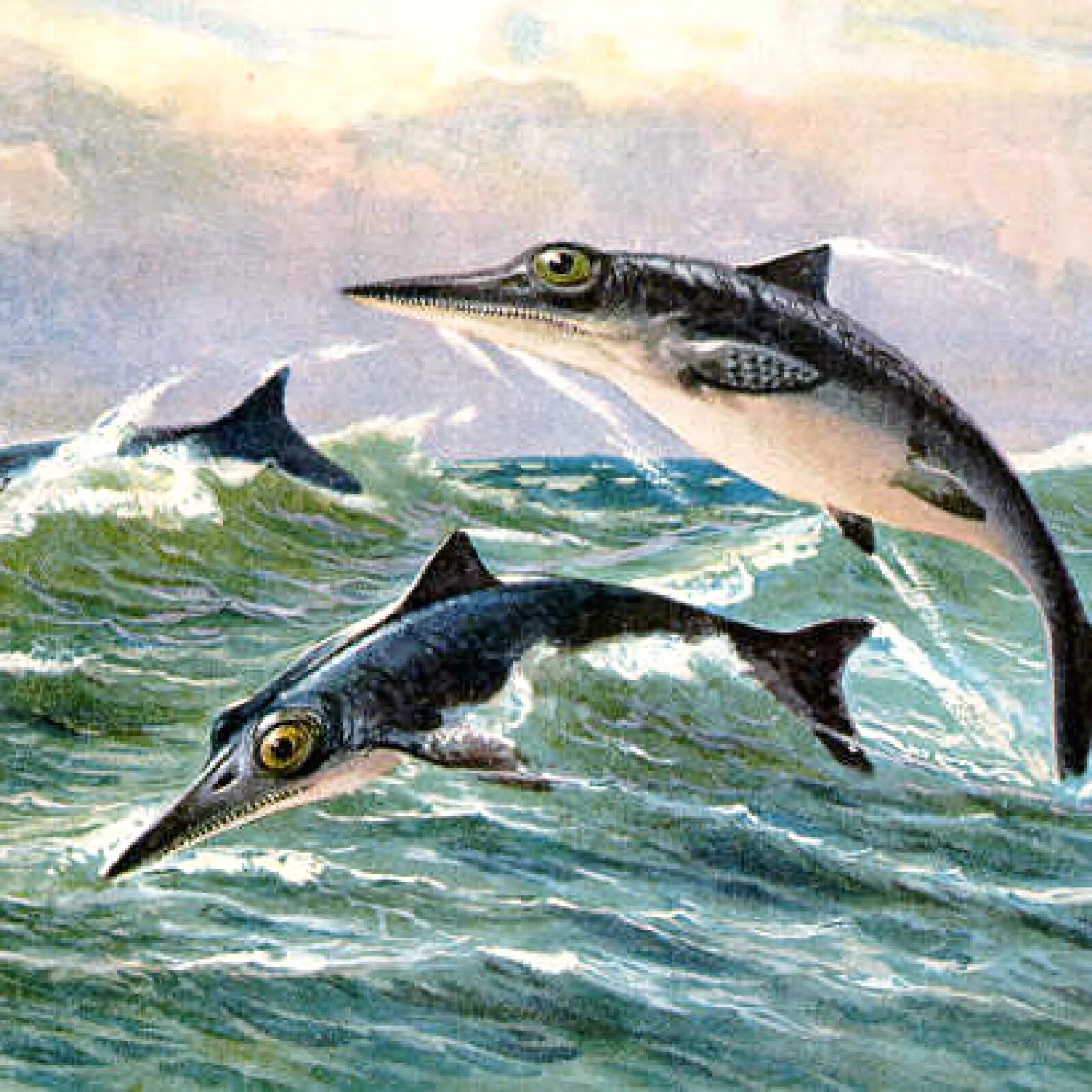 Вымершее морское пресмыкающееся с рыбообразным телом. Ихтиозавры Триасового периода. Ихтиозавры (род). Ихтиозавр фото. Челюсть ихтиозавра.