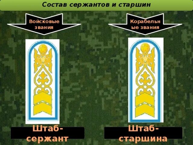 Сержант состав. Звание штаб сержант. Штаб сержант Казахстан. Воинские звания Казахстана. Штаб сержант погоны.