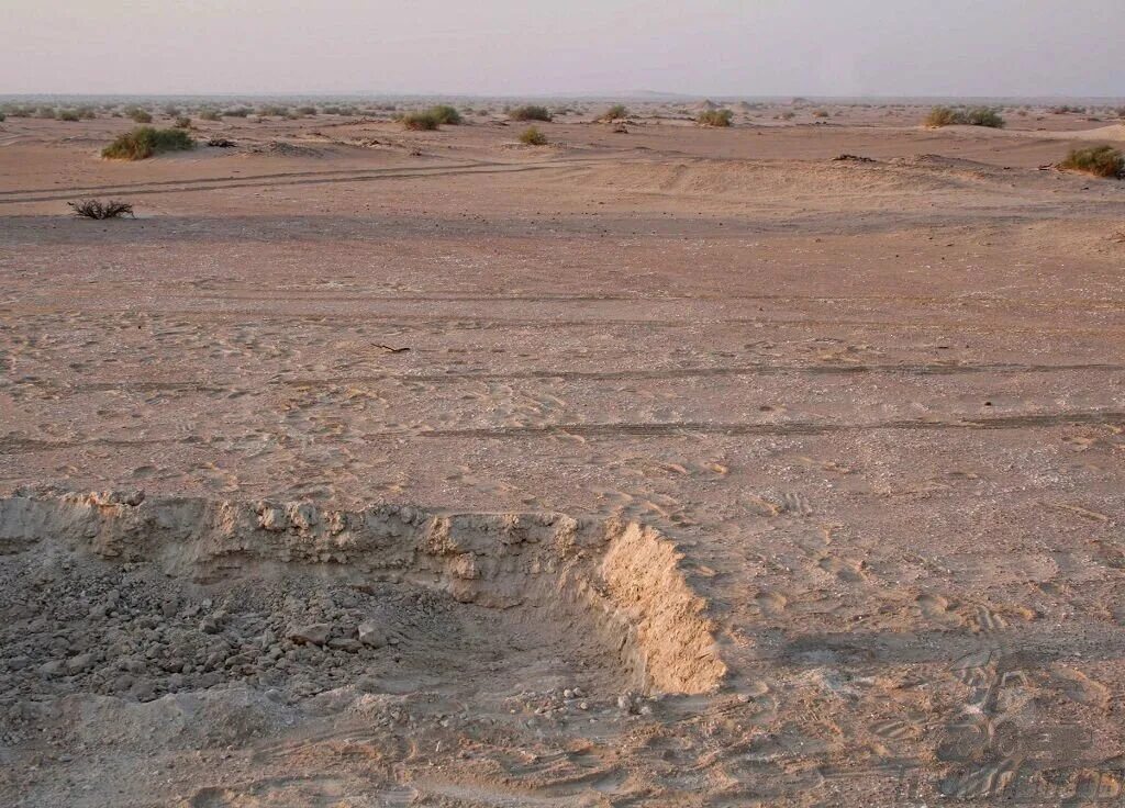 Каштановые почвы фото. Бурые полупустынные почвы. Бурые полупустынные почвы полупустынь. Пустыня такыровые глинистые. Пустынный тип почвы 5 букв.