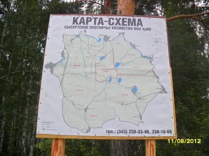Площадь серебрянского лесничества