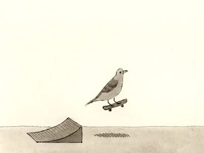 What are the birds doing