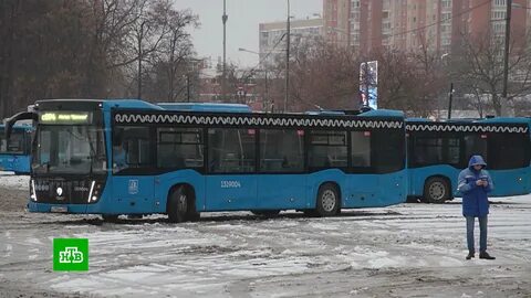Автобусы москвы 2023