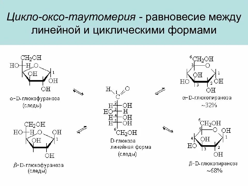 Цикло оксо таутомерия. Циклооксотаутомерия мальтозы. Изобразите схему цикло оксо таутомерии. Цикло оксо таутомерия 2 дезокси d рибоза.