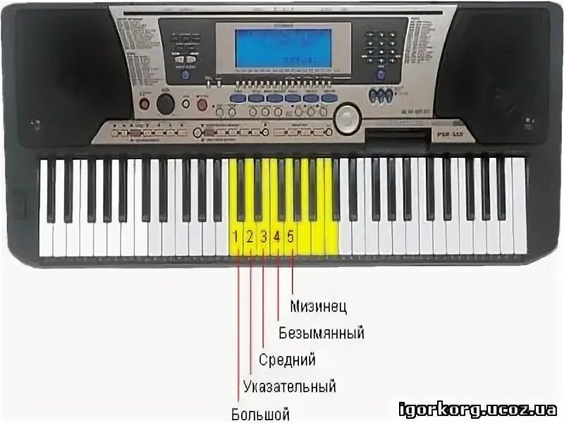 Синтезатор ос к 2800. Синтезатор mq 001uf. sd-980a синтезатор. синтезатор sa-4902. синтезатор для начинающих.