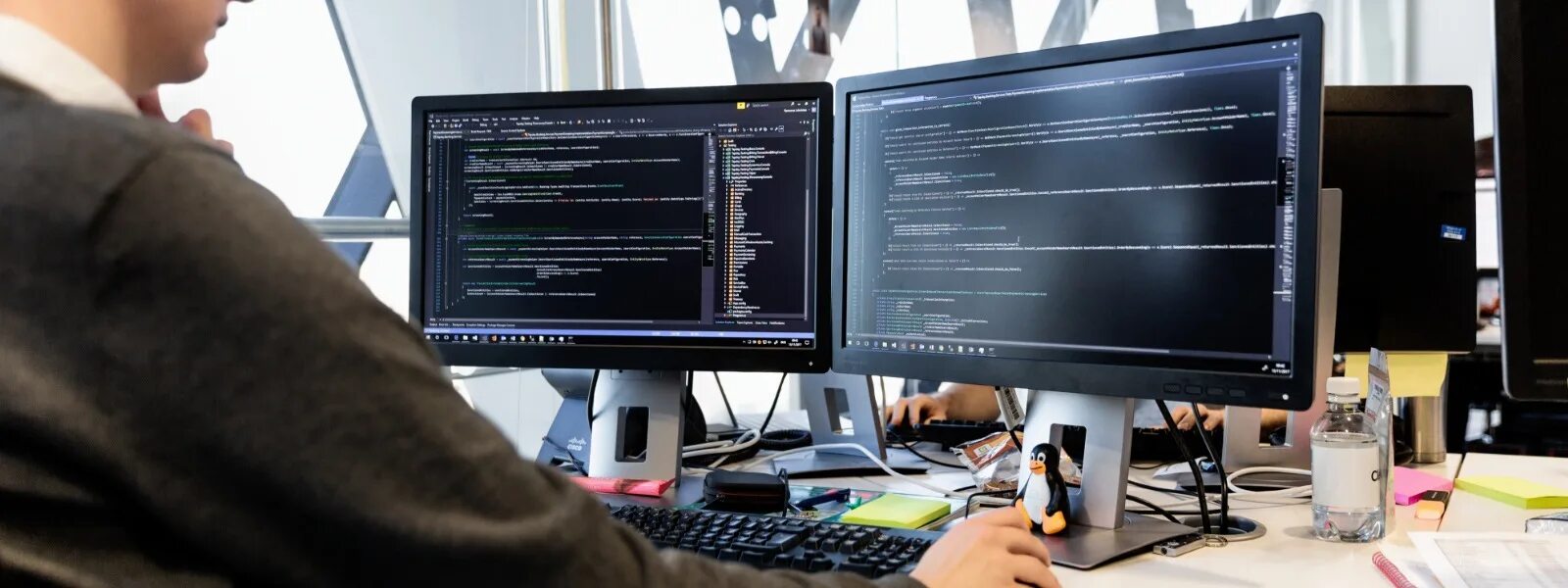 Ms developer