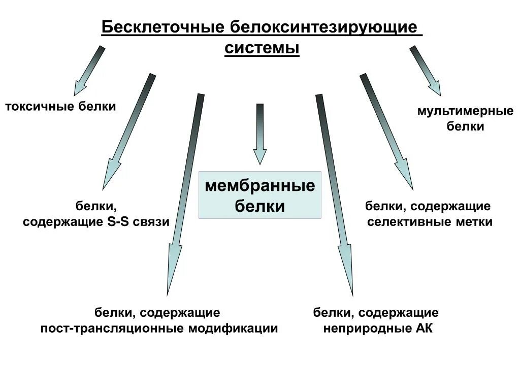 Строение ферментов. Белки являются. Формула с-реактивного белка. Структурный белок мембраны. Функции периферических белков мембраны.