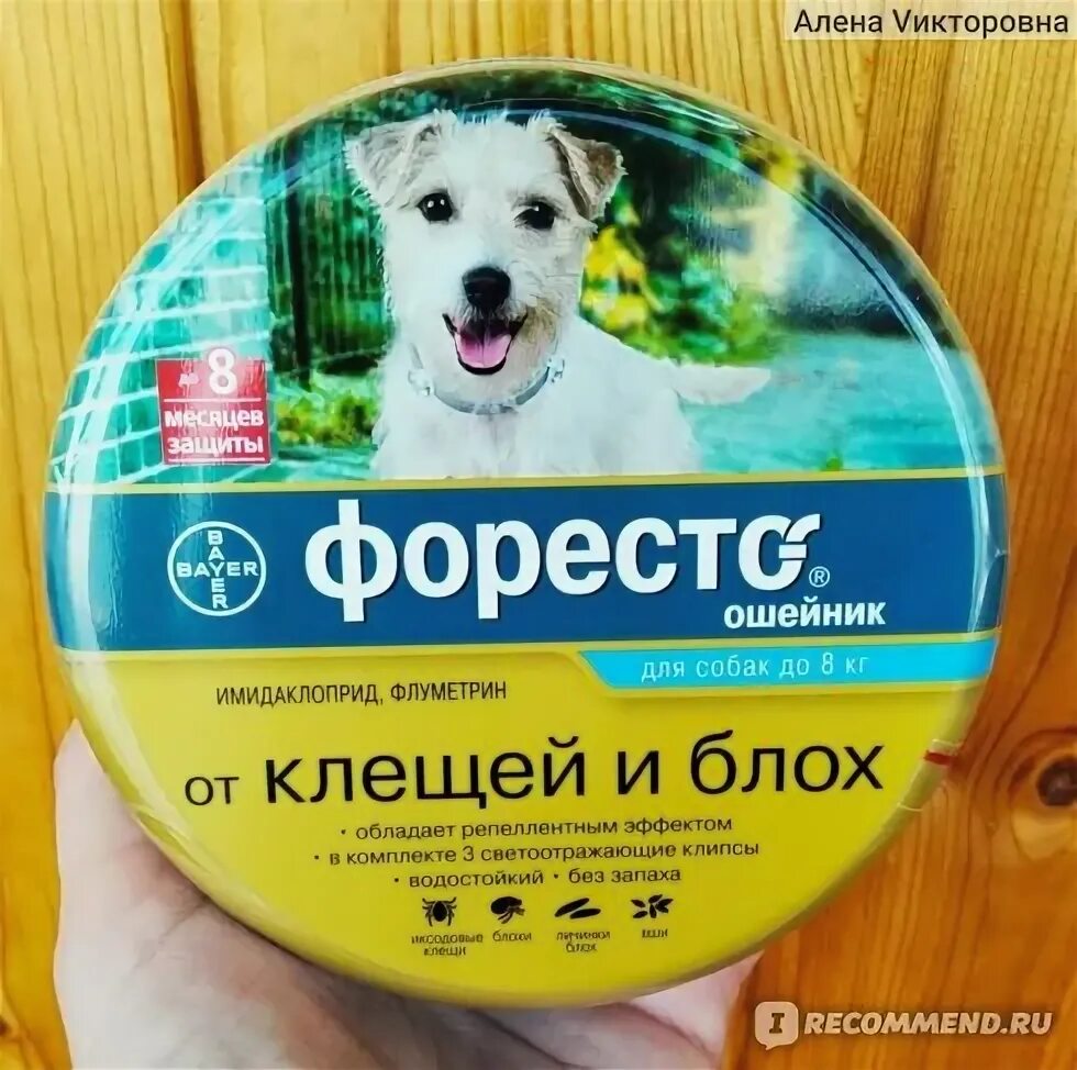 Форест ошейники для собак до 8 кг. Форесто ошейник для собак. ошейник от клещей форесто для собак. форесто ошейник для собак весом 80 кг. ошейник форесто-форум.