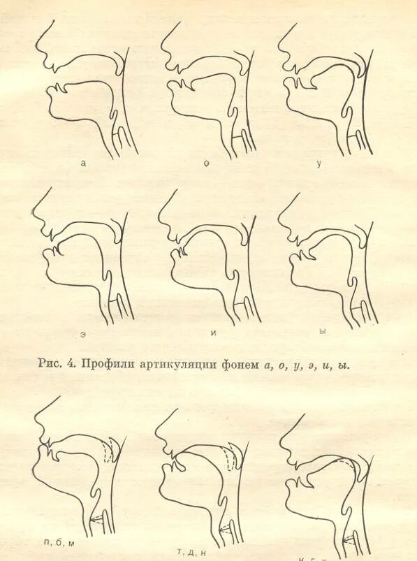 Профили артикуляции звуков. Профили артикуляции гласных звуков при ринолалии. Артикуляционный профиль звуков при ринолалии. Велярный ротацизм артикуляционный профиль звука. Профили свистящих звуков при ринолалии.