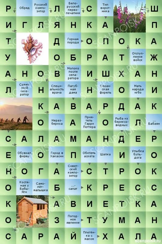 Сканворды с ответами. Ответы на сканворды в Одноклассниках. Кроссворды в Одноклассниках. Ответы на кроссворды в Одноклассниках. Ответ сканворда дня