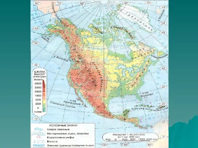 Рельеф сша 7 класс география. Основные формы рельефа Северной Америки. Географическая карта рельефа Северной Америки. Формы рельефа Северной Америки на контурной карте. Рельеф Северной Америки карта рельефа.