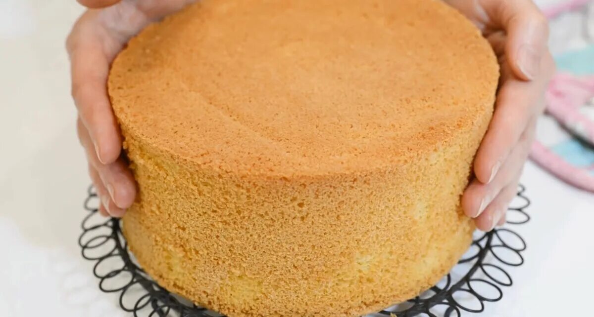 Бисквит который не опадает. Бисквит для торта пышный. Идеальный бисквит для торта. Бисквит для торта с разрыхлителем. Самый пышный бисквит для торта в духовке.