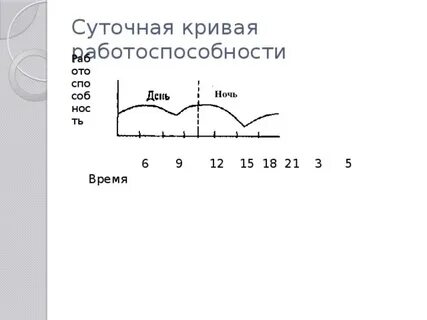 Суточная ночь