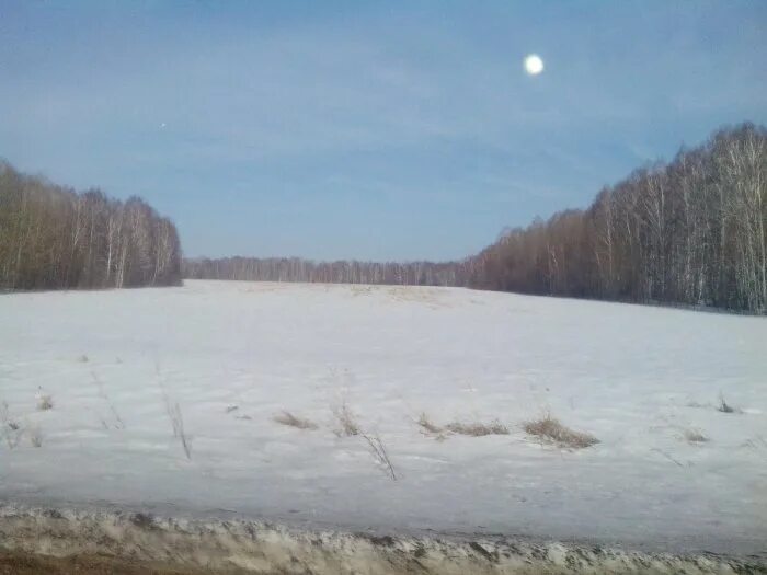 Старый порос. Деревня ташара новосибирская область. Иня в мотково. Погода порос мошковский. Погода порос мошковский.