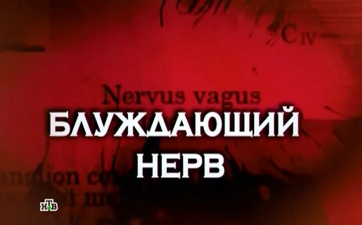 Следствие вели муж. Следствие вели блуждающий нерв. Названия выпусков следствие вели. Следствие вели названия серий.