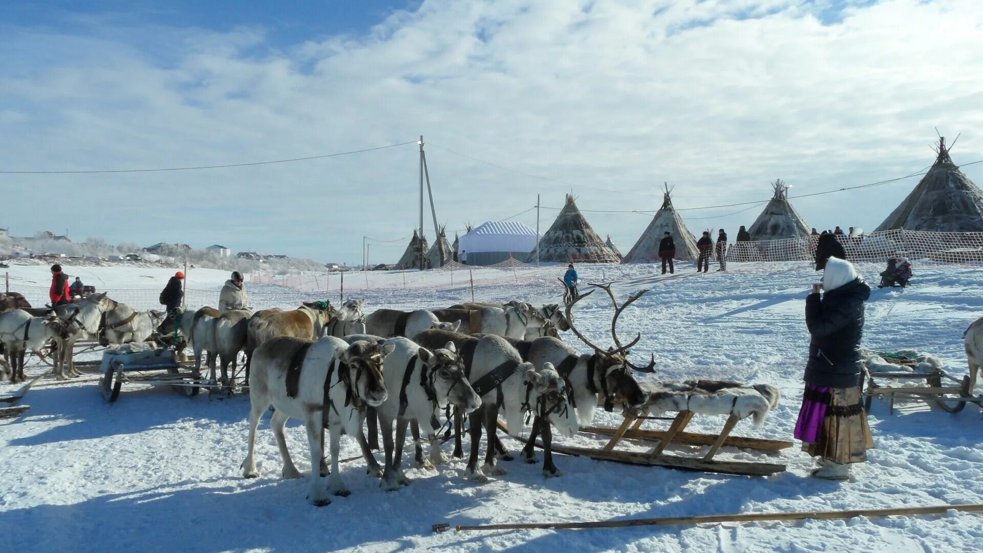 Тундра Ненецкий автономный округ. Народы севера. Народы крайнего севера. Быт народов севера.