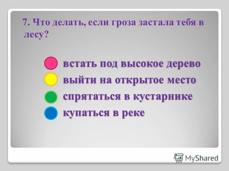 Что делать если застала гроза. Памятка если гроза застала вас в лесу.