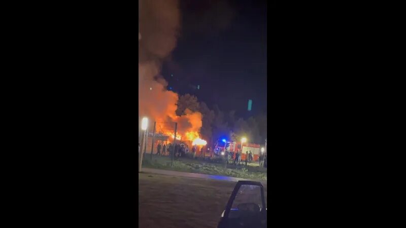 Пожар в парке галицкого. Стадион краснодар парк. Горит сочи парк. Пожар в парке галицкого. Платан парк галицкого.