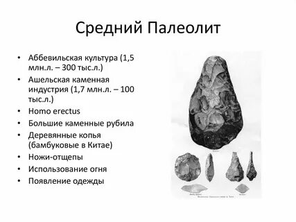 Какие изменения произошли в среднем палеолите