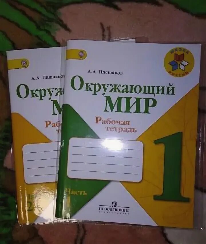 Окружающий мир 2 класс новая рабочая тетрадь