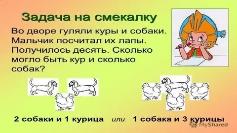 Задачи на смекалку 5 6 классы