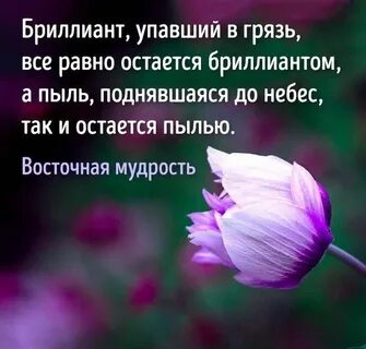 Открытки с мудрыми цитатами