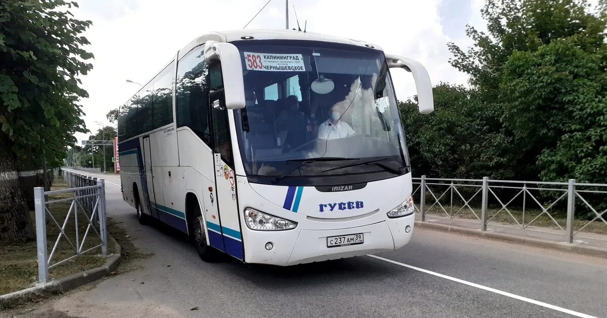 Автобус Гвардейск Калининград. Автобус 583 Калининград Нестеров. Автобус Гусев.