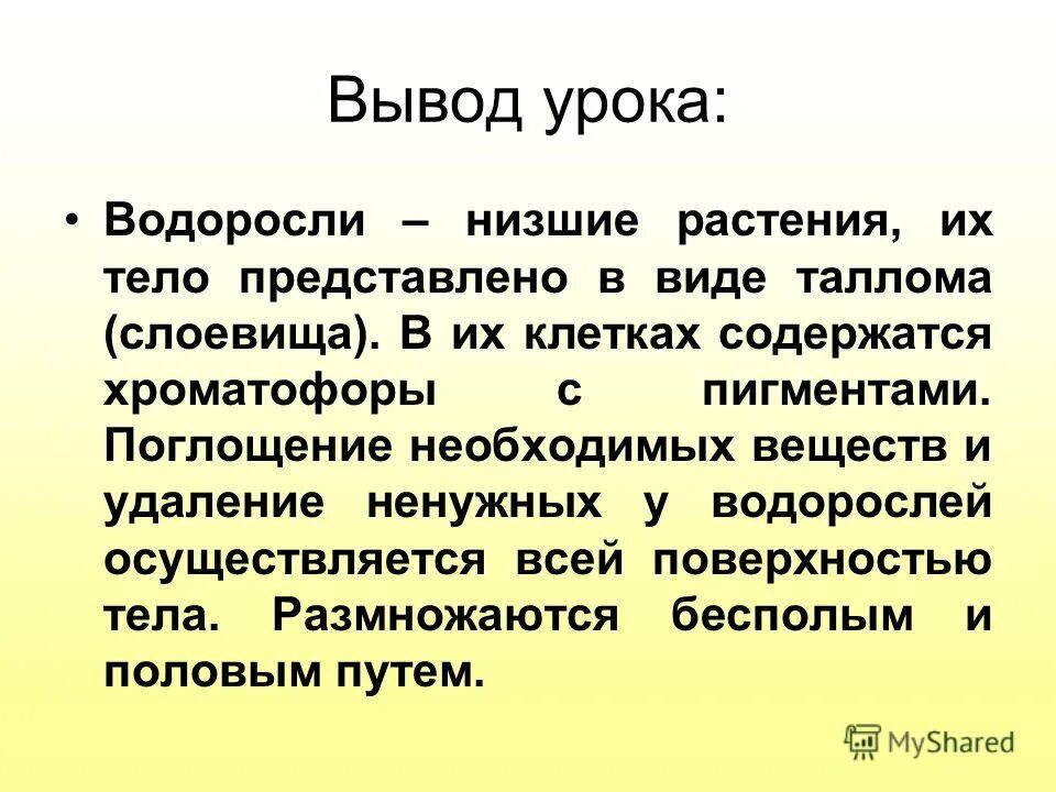 Вывод водоросли. Заключение водоросли. Вывод по водорослям. Водоросли таблица вывод.